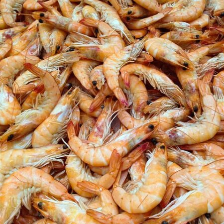 Frozen Shrimps